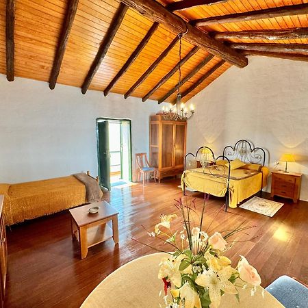 Guanche 'Casa Rural Canaria' San Miguel de Abona Ngoại thất bức ảnh